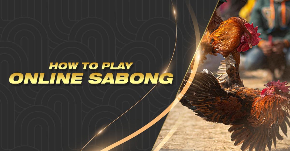 How to Play Online Sabong | Tips & Guide
