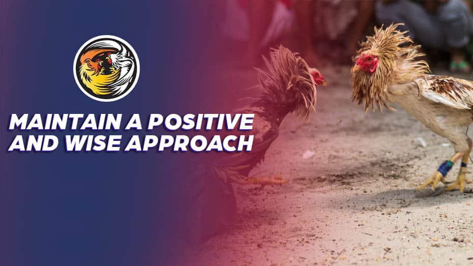 Maintain a Positive and Wise Approach