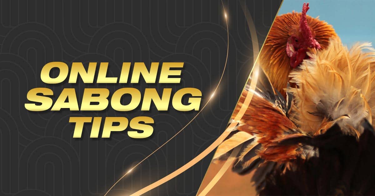 Online Sabong Betting Tips