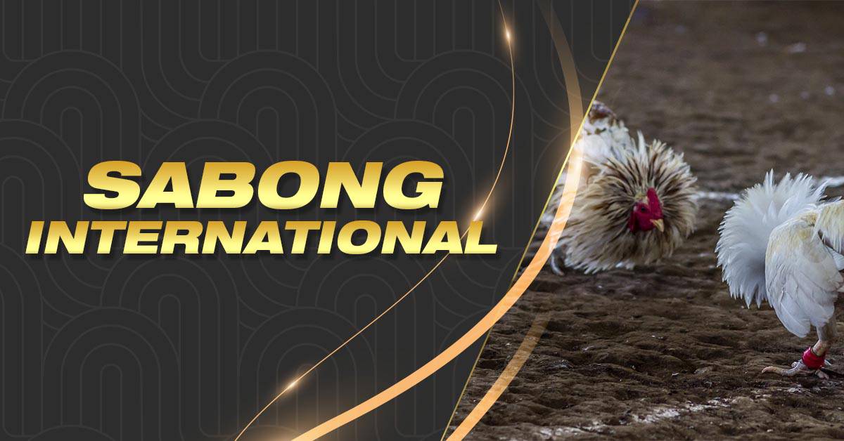 Sabong International